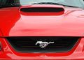 1999-2004 Mustang Mach 1 Radiator Grille Delete Cover Filler Panel