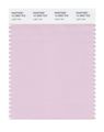 Pantone Smart 12-2903x Color Swatch Card Light Lilac 
