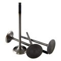B-series Dohc B18a-b B20 Intake Valve Set 
