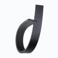 V Ribbed Serpentine Belt For Lincoln Continental 1995 To 2002 Black 6 Rib 06 In Outside Circumference 0 81 Top Width 88932741