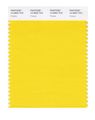 Pantone Smart 14-0852x Color Swatch Card Freesia 