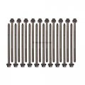 Domestic Gaskets Dg-8614917338 Compatible With 04-06 Ford F150 F250 F350 Lincoln 5 4l Sohc 24-valve Head Gasket Set Bolts