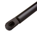 Trunk Lift Support Struts Gas Springs Ford Focus 2005 2011 Set Of 2 For 6436 Pm1131 Sg404080