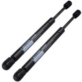 Trunk Lift Support Struts Gas Springs Ford Focus 2005 2011 Set Of 2 For 6436 Pm1131 Sg404080
