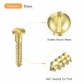 Uxcell Wood Screws M3 X 20mm Slotted Round Head Brass Self-tapping Woodworking Screw 40 Pcs