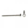 Prime-line Hex Lag Screws 1 4 In X 2-1 2 Grade 18-8 Stainless Steel 25 Pack