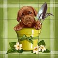 Artwork On Tile Ceramic Mural Backsplash Garden Collection 3 By Maryline Cazenave Kitchen Bathroom Shower 18 X 6 Tiles 