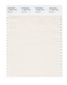 Pantone Smart 11-0604x Color Swatch Card Gardenia 
