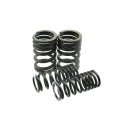 Xljoy Aftermarket Zongshen Z190 190cc Valve Springs Set Pit Dirt Bike