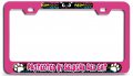 Selkirk Rex Cat 3d Metal License Plate Frame Heavy Duty Steel Tag Holder For Auto Suv And Truck Universal Fit 12 X 6 In