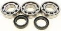 Crankshaft Bearing And Seal Kit Compatible With Polaris Trail Boss 250 4x4 1993 Atv Part 22-41078 