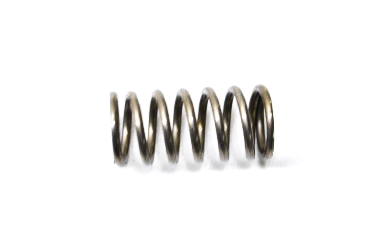 Clutch Spring