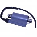 Ignition Coil For Kawasaki Kaf620 A1-a6 Mule 2510 4x4 1992 1993 1994 1995-2000 