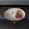 Irish Red Setter Dog Breed Oval Tow Trailer Hitch Cover Plug Insert