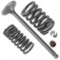 Caltric Intake Valve Kit Compatible With Honda Sportrax 300 Trx300ex 2x4 1993 1994 1995 1996-2008