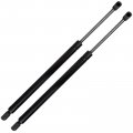 Ocpty Lift Supports Gas Springs Struts Shocks 6110 Pm1061 Sg325023 Strut Fits For Nissan Pathfinder 2005-2013