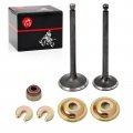 Intake Exhaust Valve Seal Kit Compatible With Yamaha Gas Golf Cart G2 G5 G8 G9 G11 G14 1989-1996