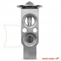 A-premium A C Expansion Valve Compatible With Kia Borrego 3 8l 4 6l 2009-2011 Rear Side