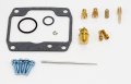 High Performance Carburetor Kit Fits Skandic Ski Hill Special 1995uretor Rebuild Replacement Carb Carb Repair Overhaul Sermance 