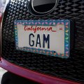Flock Of Rainbow Birds Flying In Pattern License Plate Tag Frame