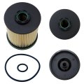 Tp1015 Fuel Filter Kit For 2021 Silverado 4500 Hd 6 6l Replace 23304096 13539108 New