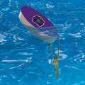 Graphics More University Of Central Arkansas Primary Logo Floating Keychain Oval Foam Fishing Boat Buoy Key Float