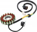 Mallofusa Magneto Stator Coil Generator Replacement Fit For Suzuki Drz250 Drz400 2006-2014