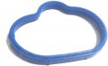 Proper Spec Jaguar Vanden Plas Xj8 Xk8 Intake Manifold Gasket Eurospare Aj83356 New 
