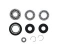 Bearing Seal Kit For Honda Fourtrax 300 Trx300 1988-2000 Front Differential