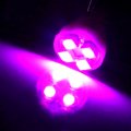 Ocpty Cab Marker Light 5pcs Clear Lens Top Roof Running Assembly W T10 Pink Bulbs Fit For 1988-1997d F Super Duty 1980-1997d F-