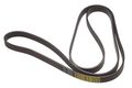 Belt 6k X 2415 