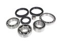 Front Differential Bearings Seals Kit Arctic Cat 650 H1 4x4 W At 2005 2006 2007 