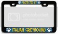 Protected By Italian Greyhound Dogs Pets Bl 3d Metal License Plate Frame Auto Suv Truck Tag Holder H43 