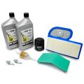 Tune Up Kit 10w-40 For Kawasaki Fh430v Fh451v Fh500v 99969-6141 