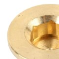 Threaded Plug For Buick Rainier 2004 2006 Brass Natural Fine Thread Alx Pau Ac 12561663 Cla4