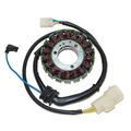 Electrosport Esg495 Lighting Stator Trx300ex 