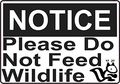 5in X 3 Squirrel Notice Please Do Not Feed Wildlife Sticker Vinyl Sign By Stickertalk 