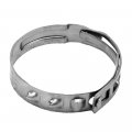 Polaris New Clamp-small Pr-0016  