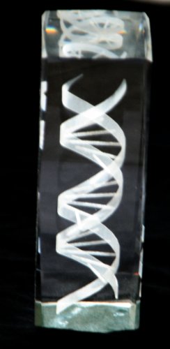 Dna Helix Crystal Statue 6 Inches In Height