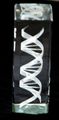 Dna Helix Crystal Statue 6 Inches In Height 