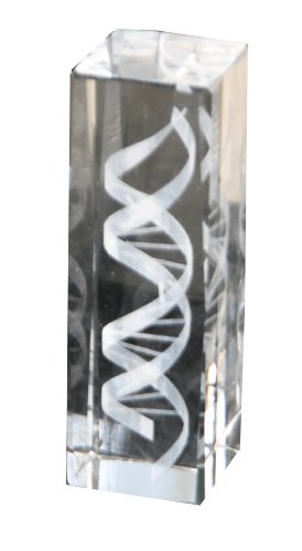 Dna Helix Crystal Statue 6 Inches In Height