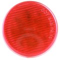 6 Pack 2 5 In Round Red Led Side Marker Clearance Lights 13 Waterproof Trailer Truck Lamps 10v 13v Dc Universal Fit