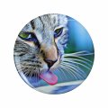 Cat Keychain Double Sided Stainless Steel With 3d Resin Design Round 1 25 In Pet Lover Gift For Keys Backpack And Luggage 
