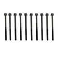 Beck Arnley 016-1069 Cylinder Head Bolt Set 