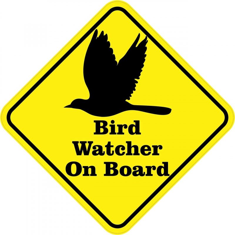 Stickertalk Bird Watcher On Board Vinyl Sticker 5 Inches By