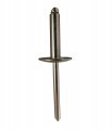 3 16 Diameter X 1 2 Stainless Rivet With Mandrel Large Flange Head 376- 500 Grip Range Pack Of 100 