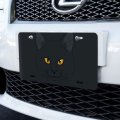 Graphics More Black Cat Face Pet Kitty Novelty Metal Vanity Tag License Plate 