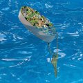 Graphics More Animal World Panda Elephant Cheetah Pattern Floating Keychain Oval Foam Fishing Boat Buoy Key Float