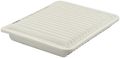 Fram Ca10163 Extra Guard Panel Air Filter 