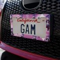 Dc Super Hero Girls Zatanna License Plate Tag Frame